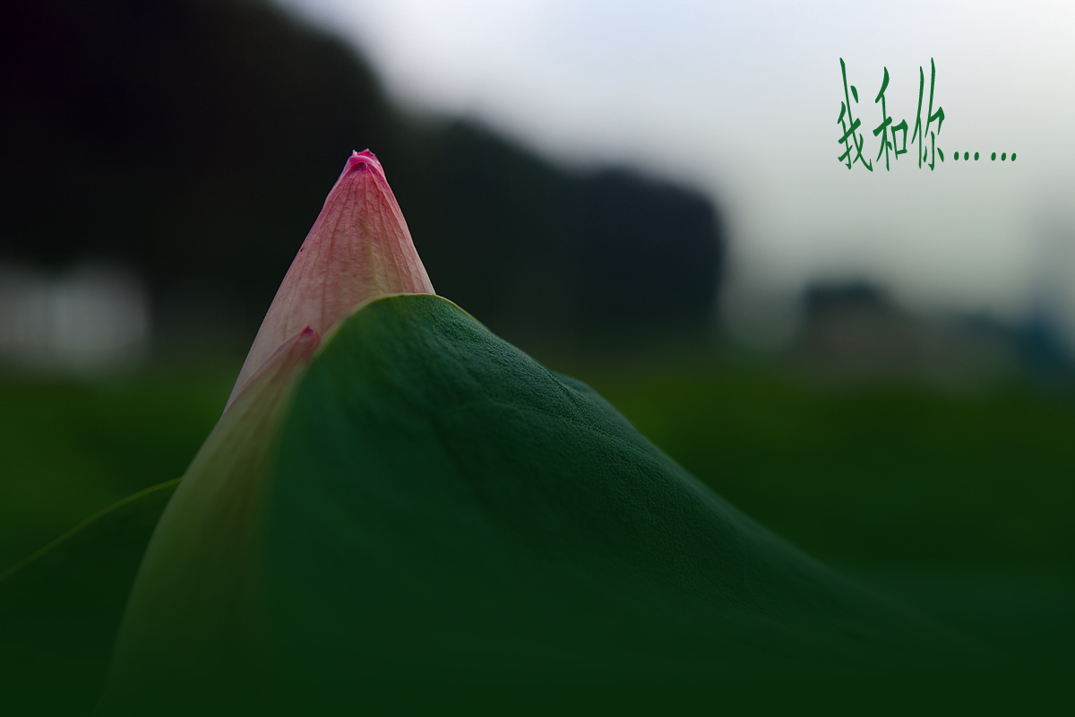 我和你……