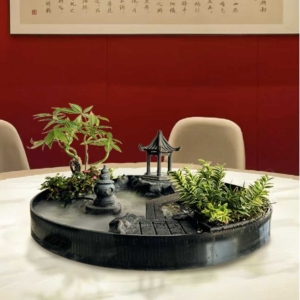 发布篇文章看看到底是不是能够查看了呀？